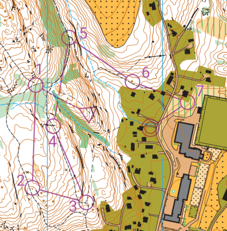 Treningsløp torsdag 11. august